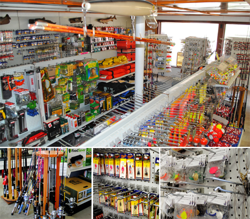 live bait store